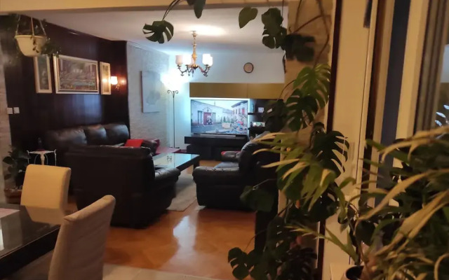 Awsome 2 Bedroom Apartment in Makarska