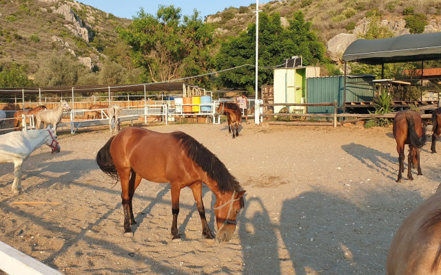 Patara Caretta Hotel