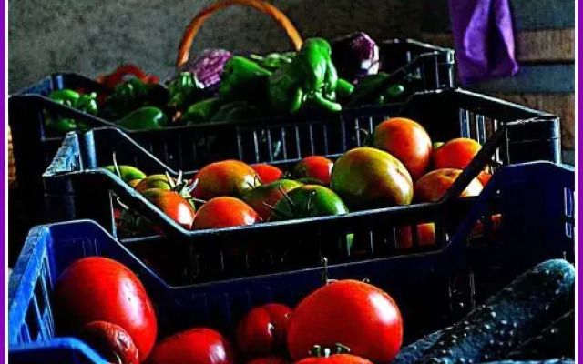 Agriturismo il Tripesce