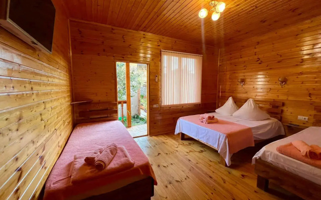 Guest house Abkhazian courtyard