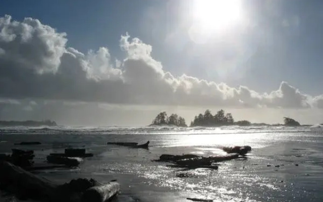Wild Shores Guest House