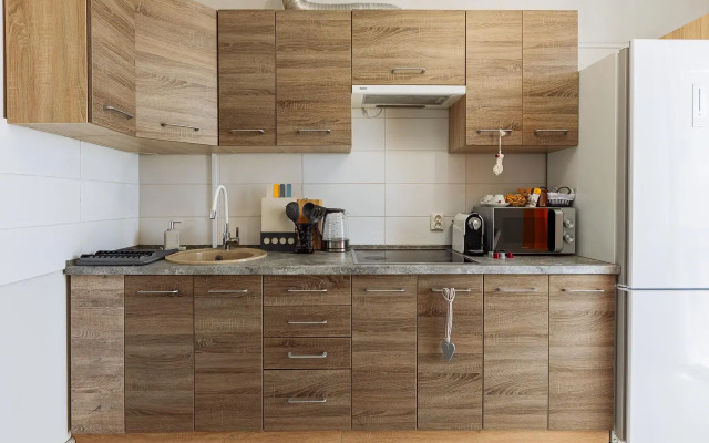 Apartments on Gagarina street 101
