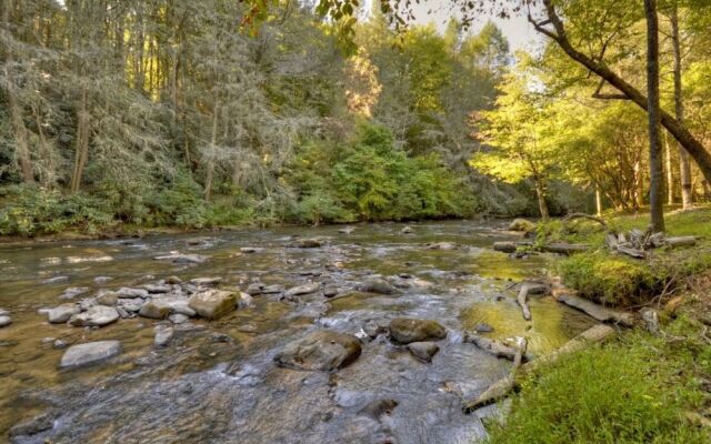 Chillin By The Creek