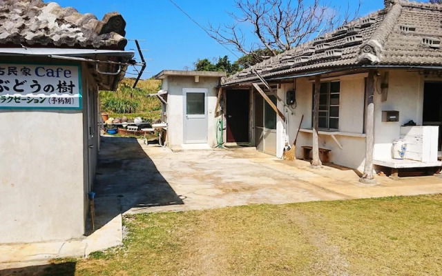 KOURIJIMA Budonoki