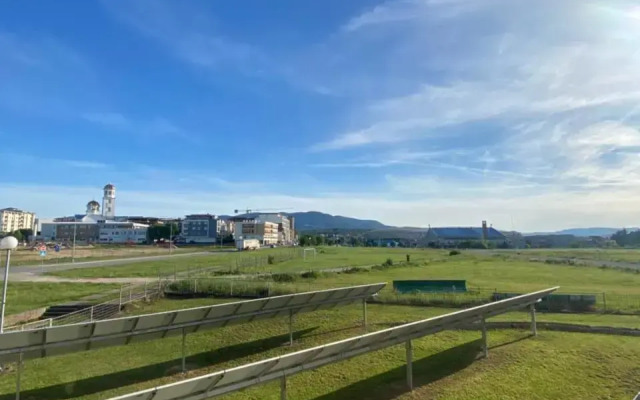 Plavi restoran, Loznica