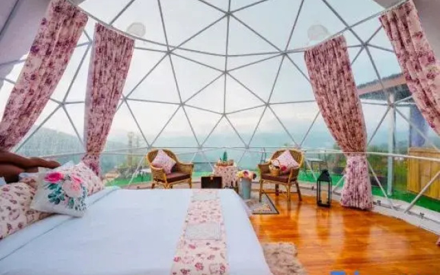 Phuchifa Sky Camp