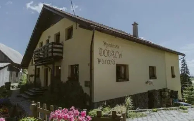 Pension Tofalvi