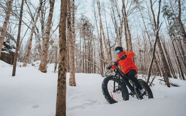 Le Coup de Coeur du Lac Sup Rieur Citq 313677