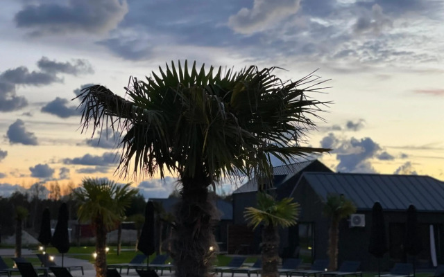 Palmes.pirmas.sezonas