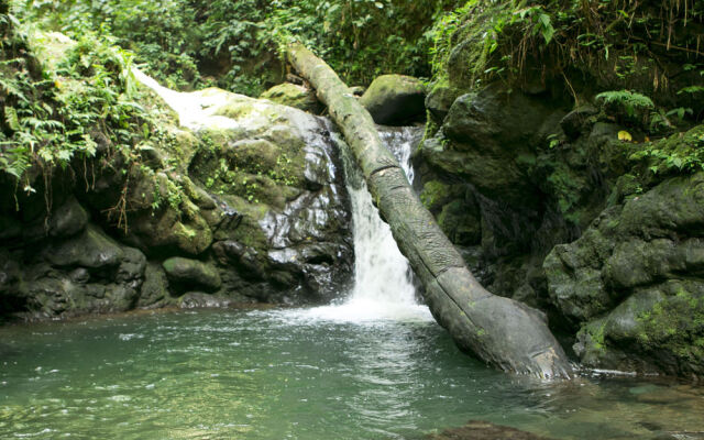 Rios Tropicales Lodge