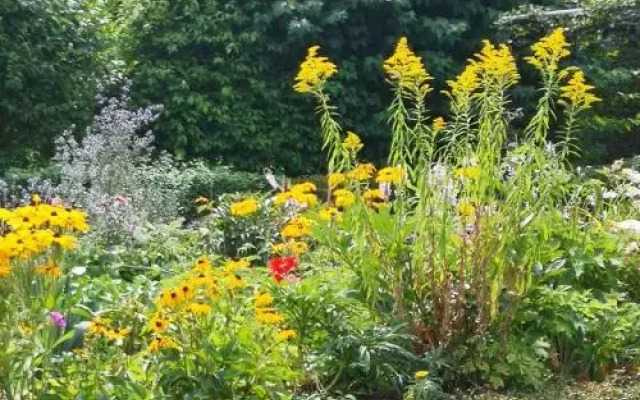 Modern Holiday Home in Hinternah with Forest Nearby