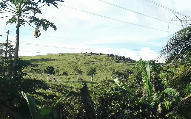 Pedacito de Cielo Guest House - фото 4