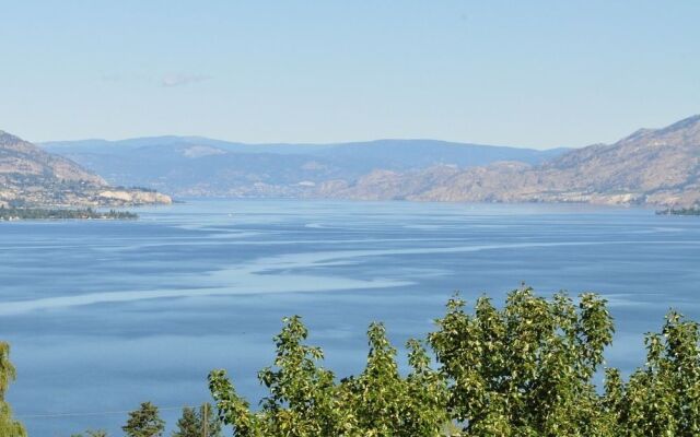 E'Laysa Guesthouse and Vineyard Retreat