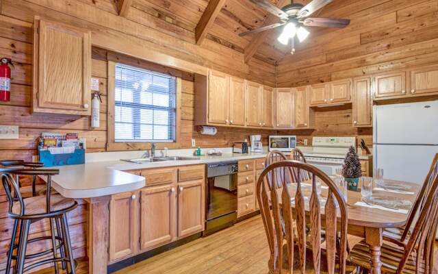 Bear Pause by Vtrips