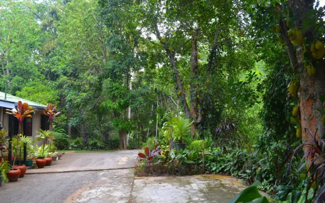 Ivy Banks Anniewatte Guest House