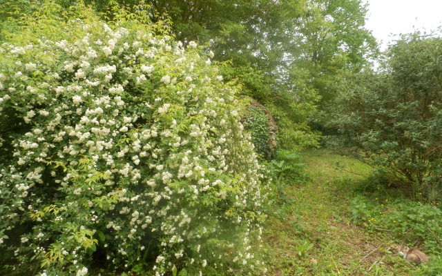 Le Moulin des Marionnettes