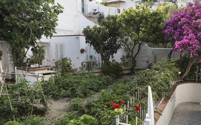 Ponza Arcipelago Pontino - Appartamento Scotti