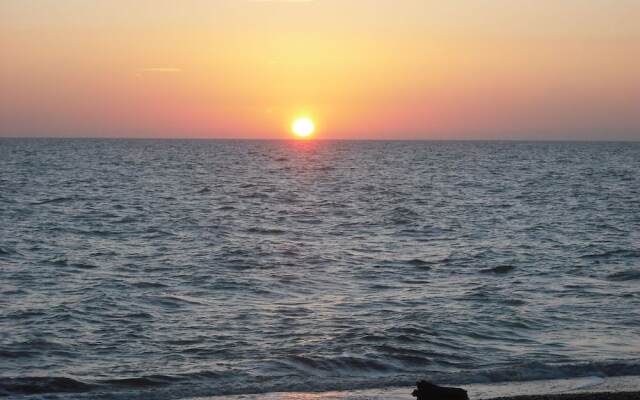 Splendid Relaxing Stay in the Tuscan Countryside