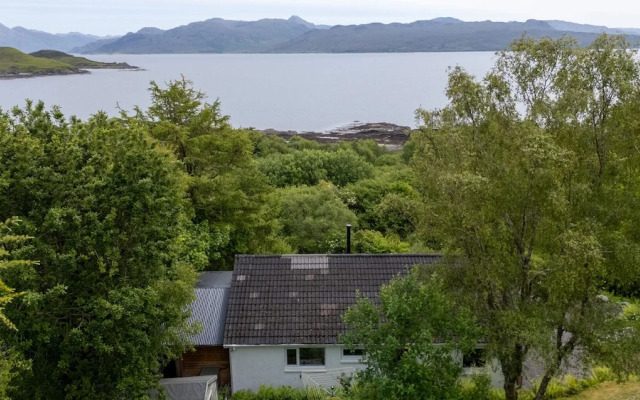 The Lookout
