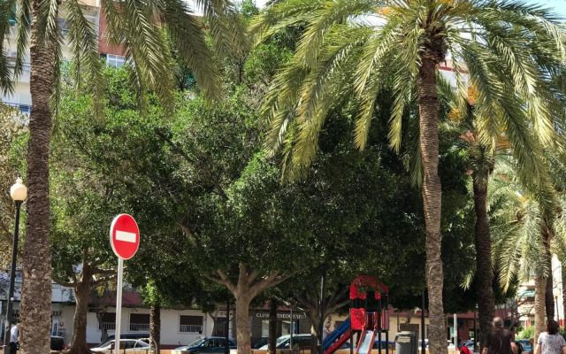 Apartamento Torregrosa