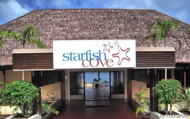 Starfish Cove