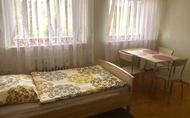 Mainzimmer Business Appartment - Monteurwohnung mit Burgblick