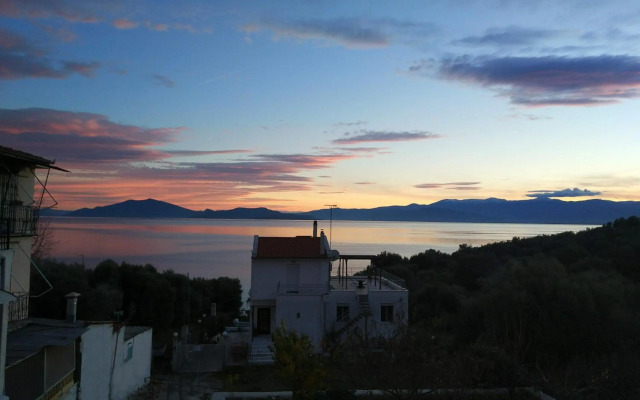 Seaside Boutique Villa