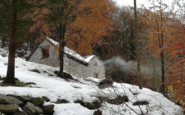 La Baita Nel Bosco Cir