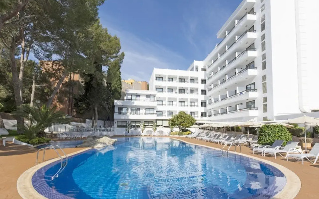 Ona Palmira Paguera Hotel