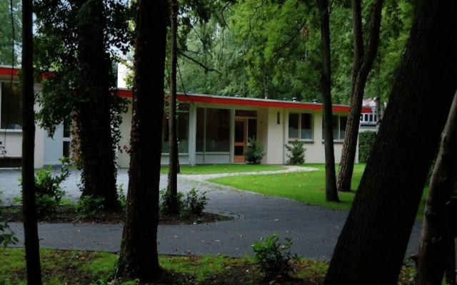 Cozy decorated house with fireplace, surrounded by forest