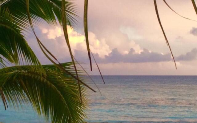 Cadaques Caribe Pez 103