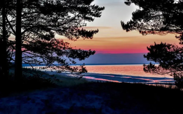 Atputas Vieta Braltirumi