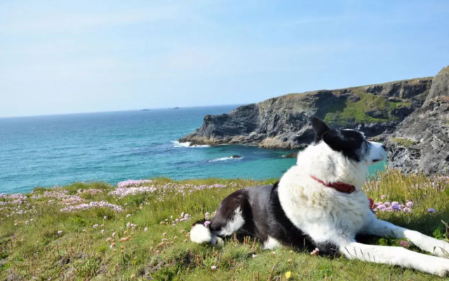 Holiday Home Lavender