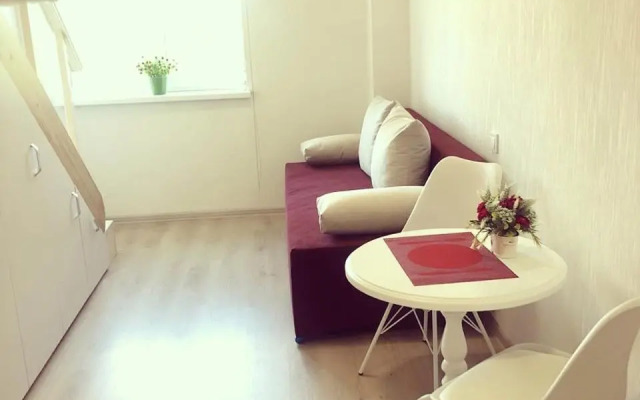 Двухуровневая квартира на Московском проспекте