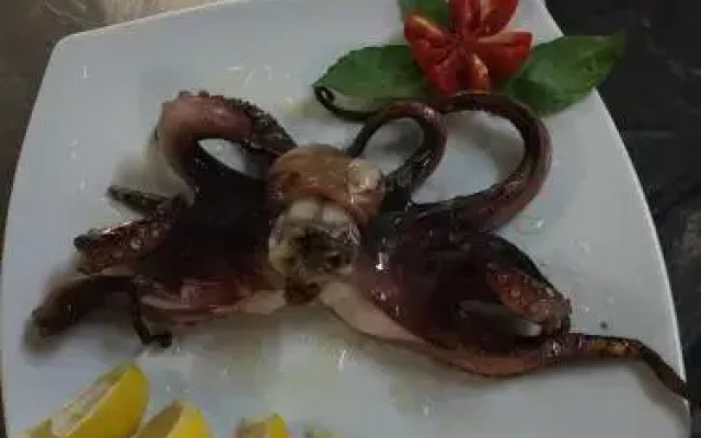 Affittacamere La Regina