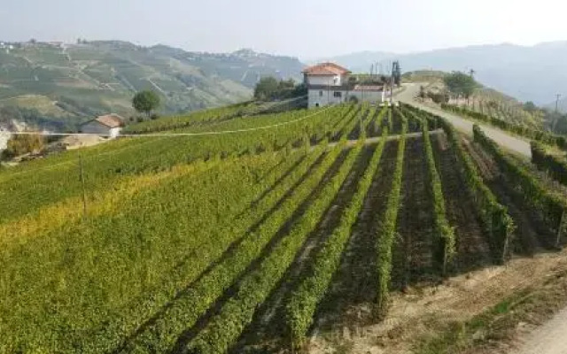 La Via del Sale Holiday Home