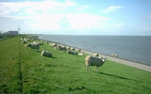 Captivating Chalet with Microwave near Wadden Sea