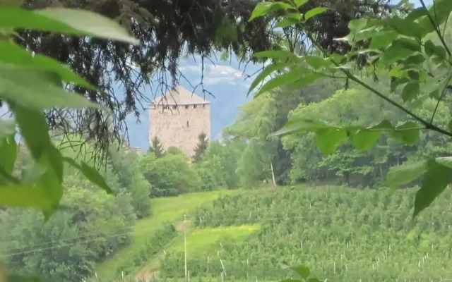 Majestic Apartment in Meran