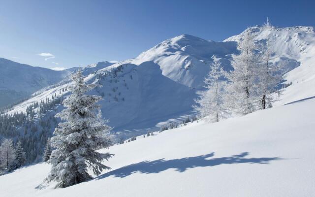 Scenic Apartment in Zell am Ziller-Gerlosberg with Garden