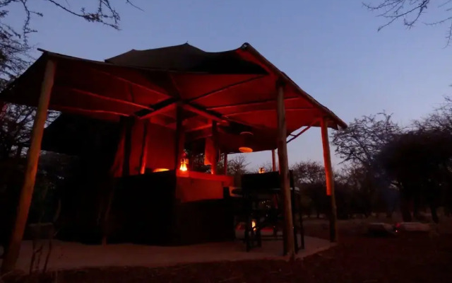 Thorn Tree Bush Camp