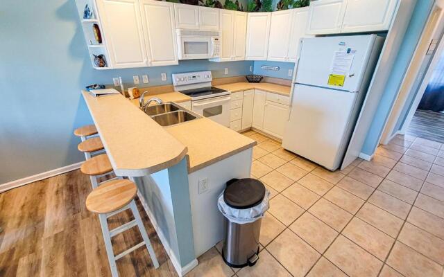 Turtle Cove 223 - C-Notes