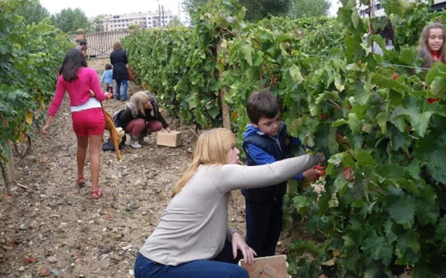 Apartamento Golf Rioja Alta