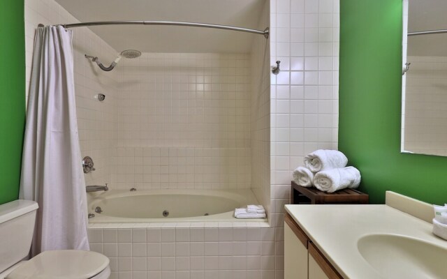 Fall Line Condo D1 1 Bedroom Condo