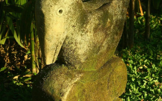 Uma Karan