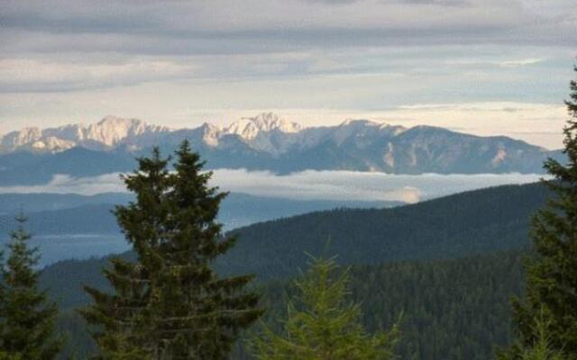 Ferienwohnungen Jagerhüttn