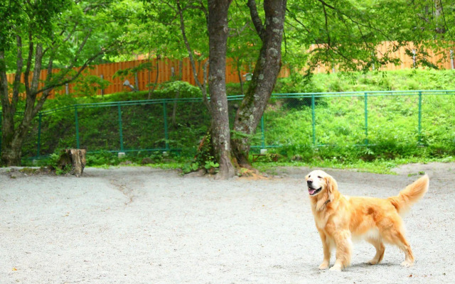 Izumigo Takayama Dog Paradise Hotel