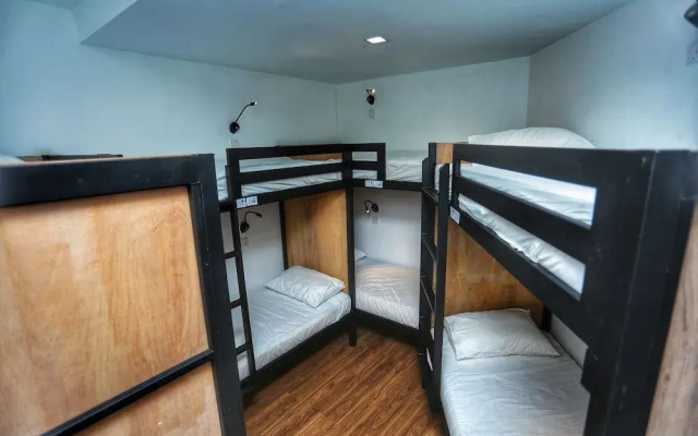 The Bedpackers Hostel