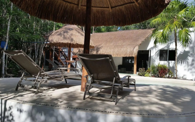 Pura Vida Cancun