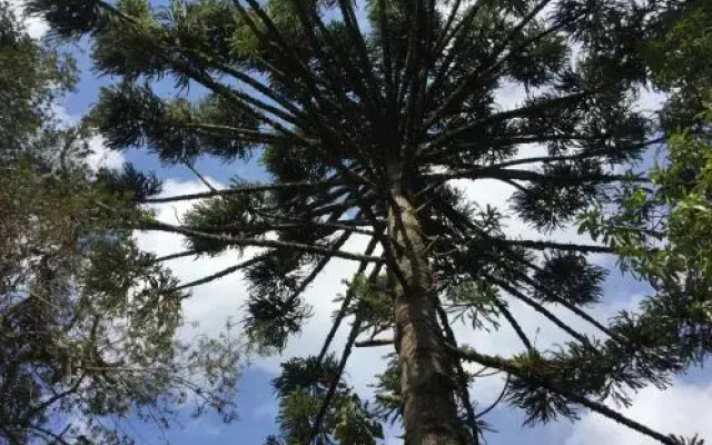 Pousada Villa Do Luar