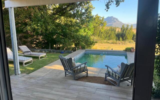 Wildlife Hideaway in the vineyards